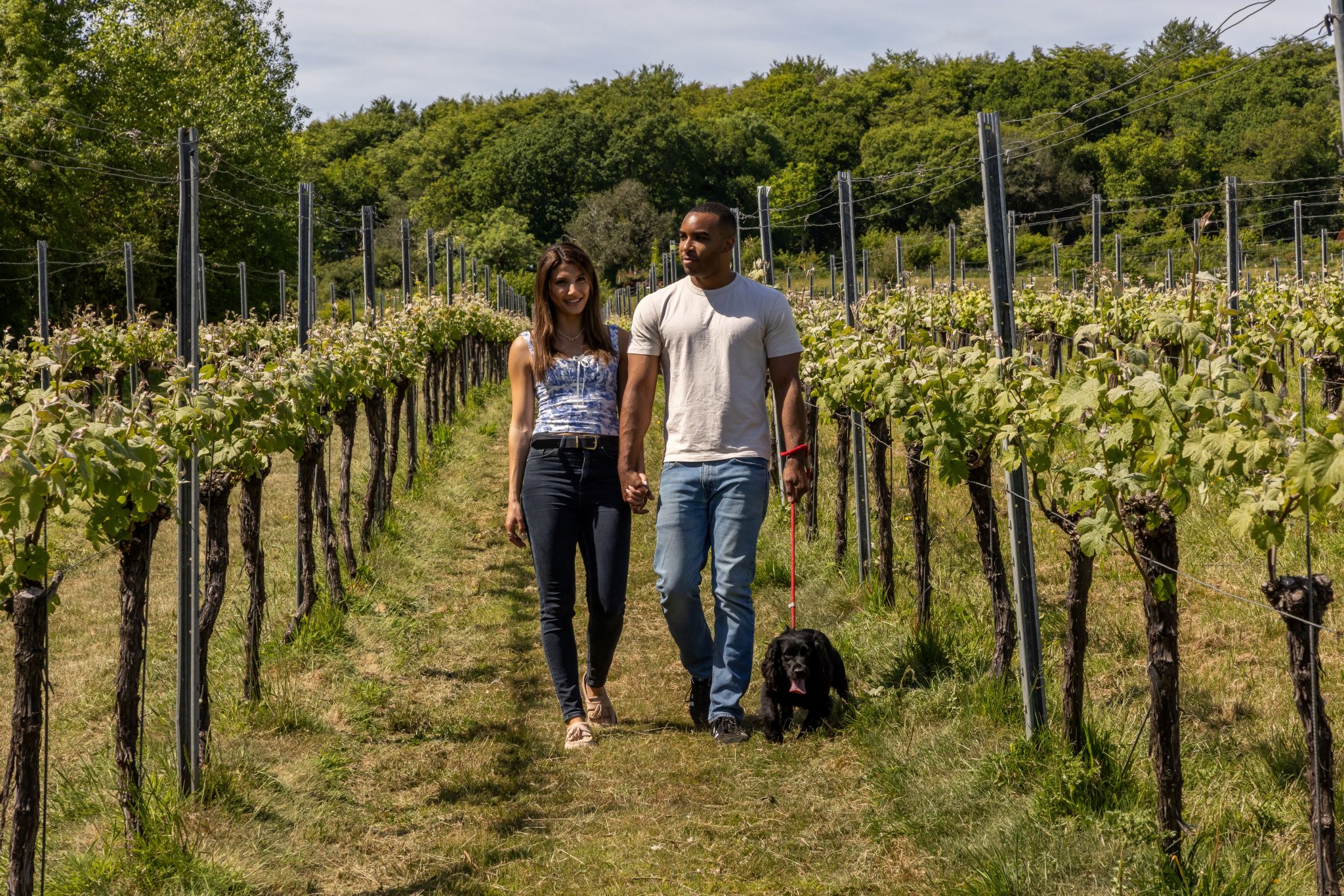 Louma Rhee Activities | Louma Country Hotel | West Dorset