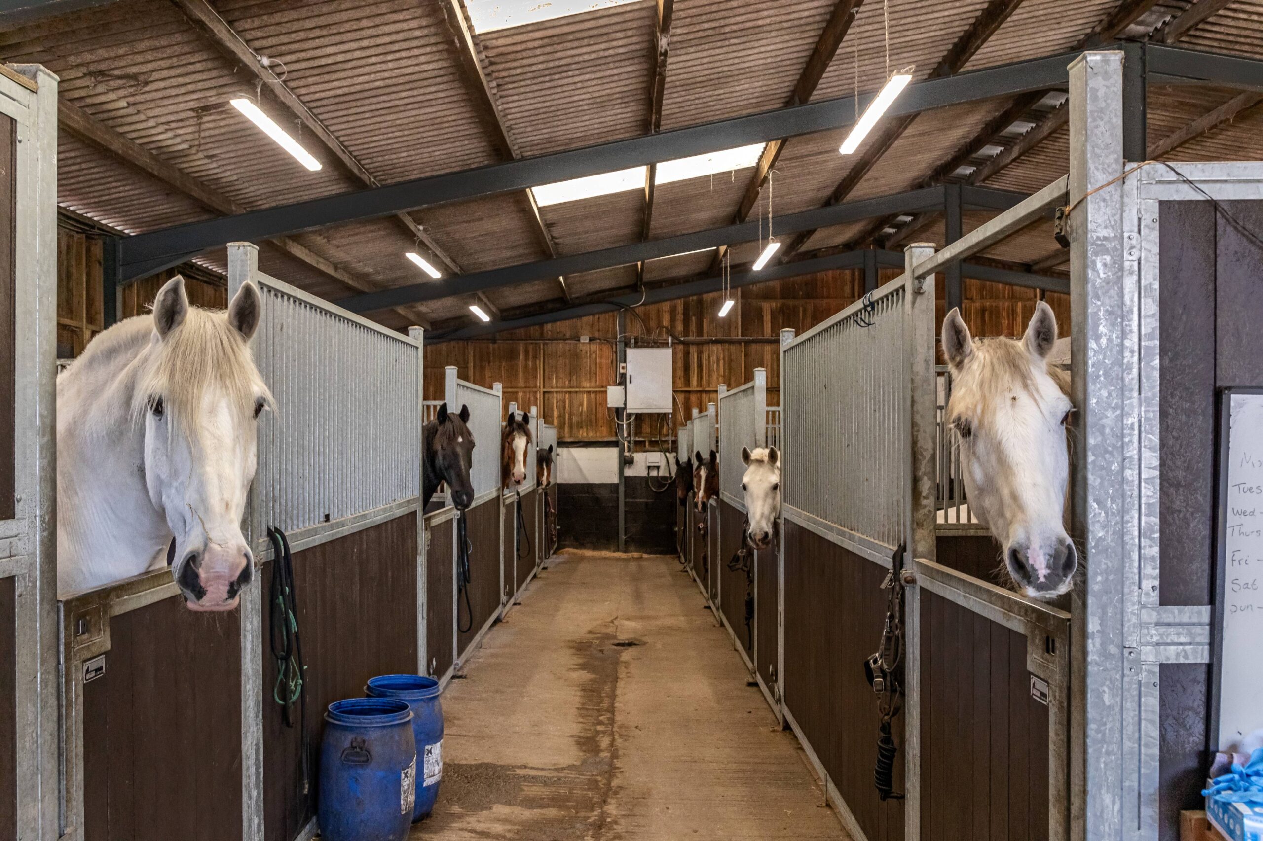 Stables at Louma