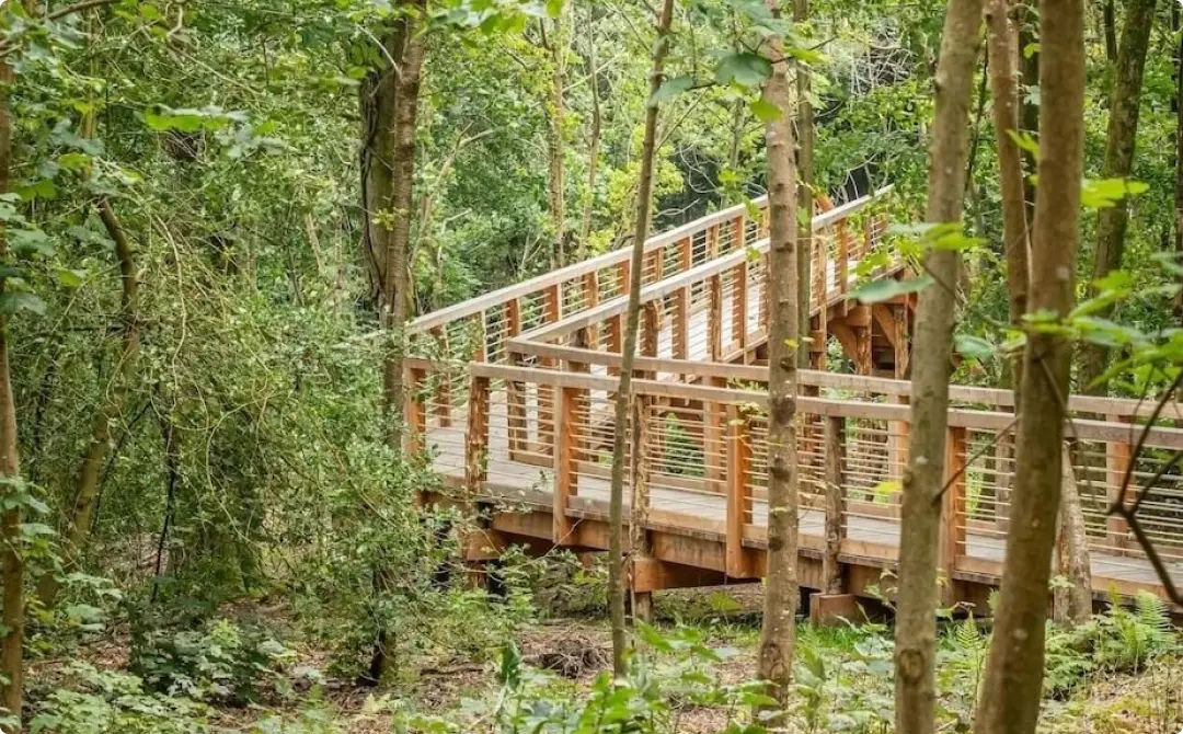 Woodland Walk