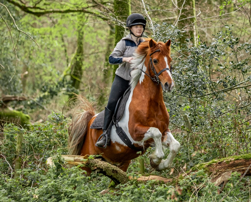 Countryside Ride