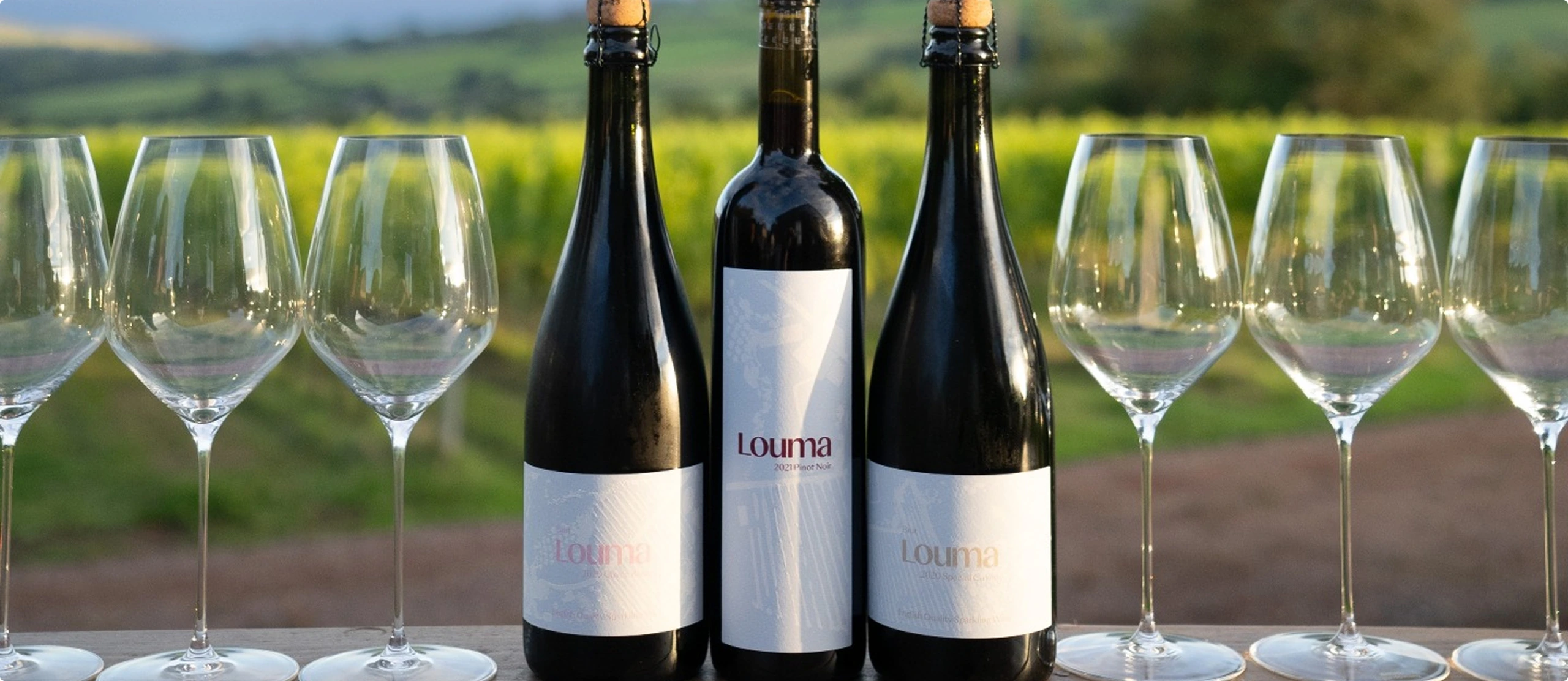 Wines Banner