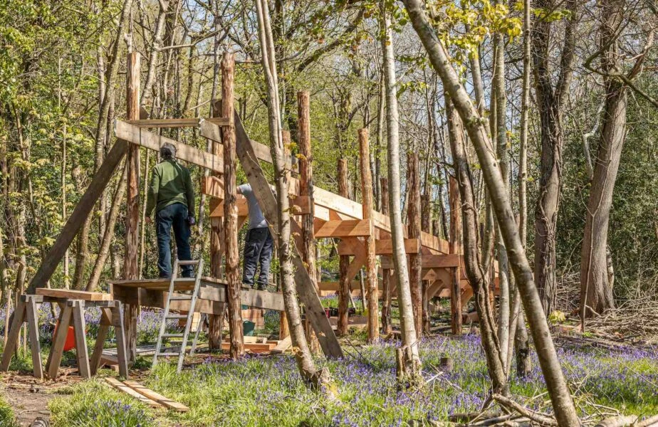 David-Saltmarsh-and-Adam-Hawker-building-our-Woodland-Walk-amongst-the-bluebells-924×600