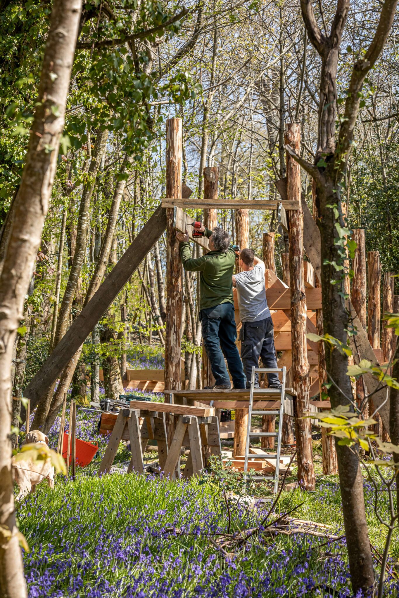 Louma Rhee Spa & Wellness | Louma Country Hotel | West Dorset