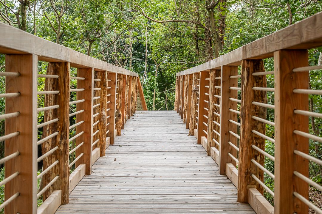 Louma_Woodland Walk (2)