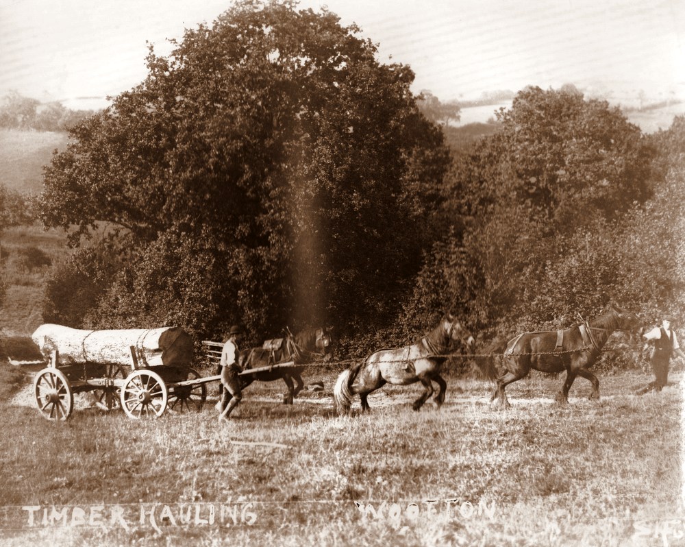 Postcard (1)