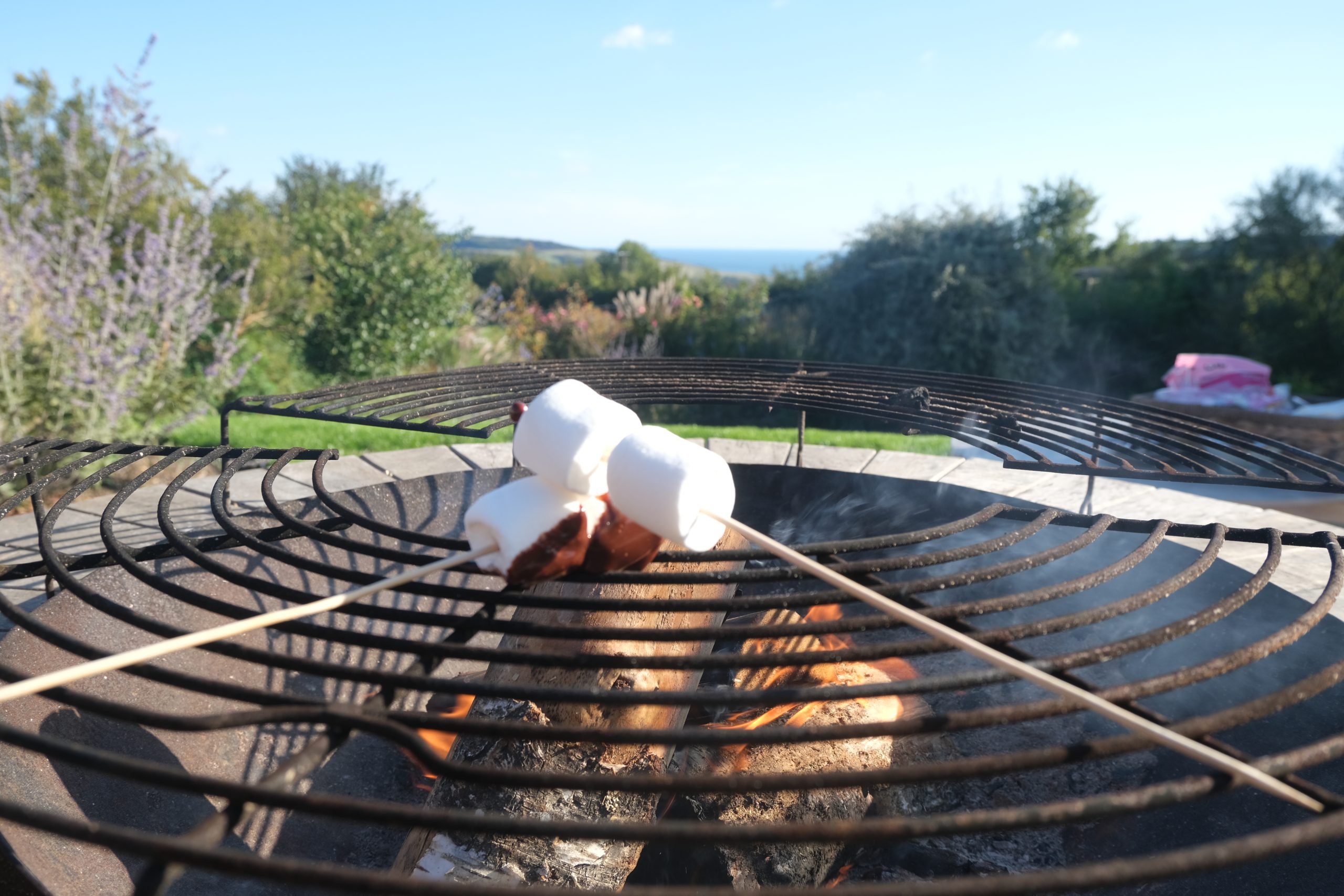 SMORES 3