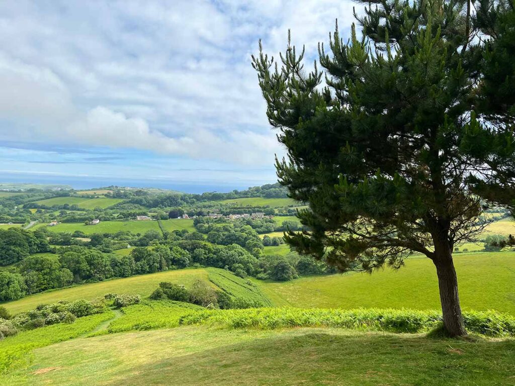 Colmers Hill Walk