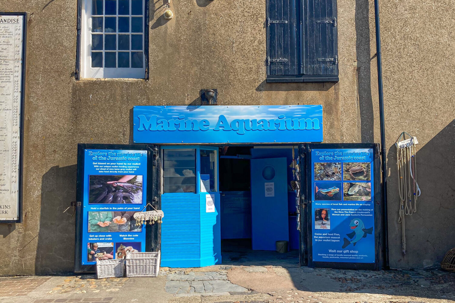 Lyme Regis Museum & Marine Aquarium