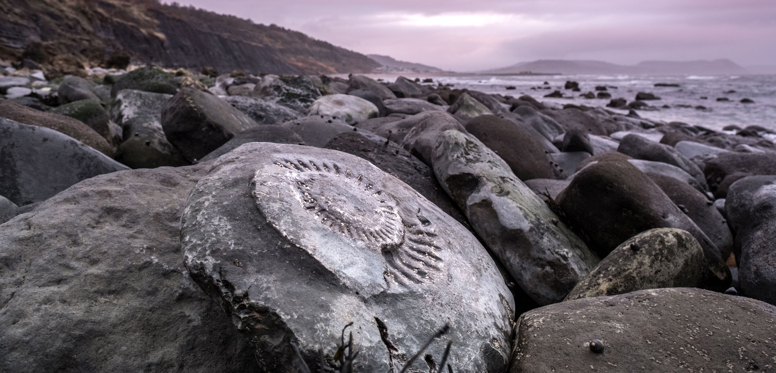header-jurrasic-coast