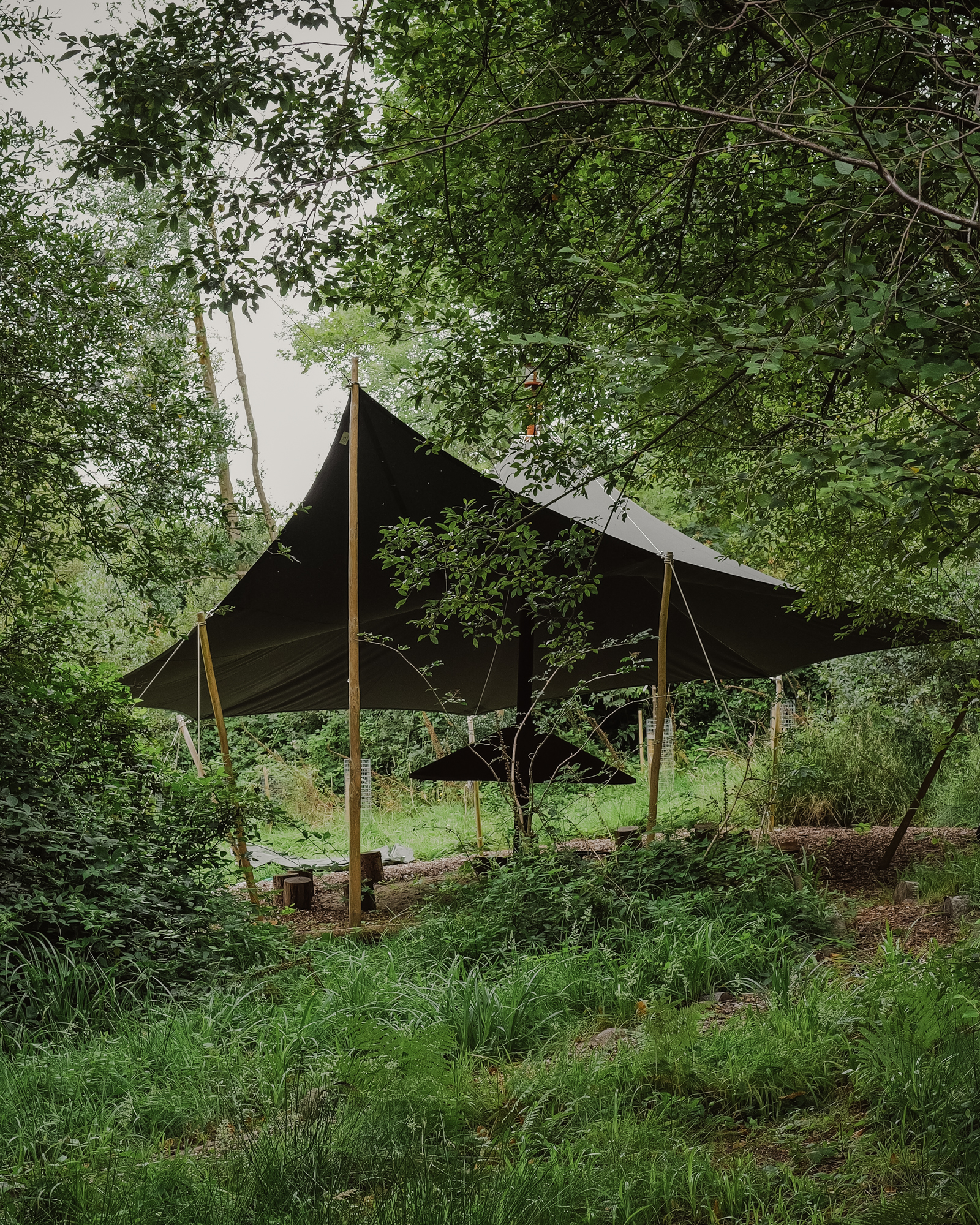 LOUMA-Forest School-August 24-LR-11
